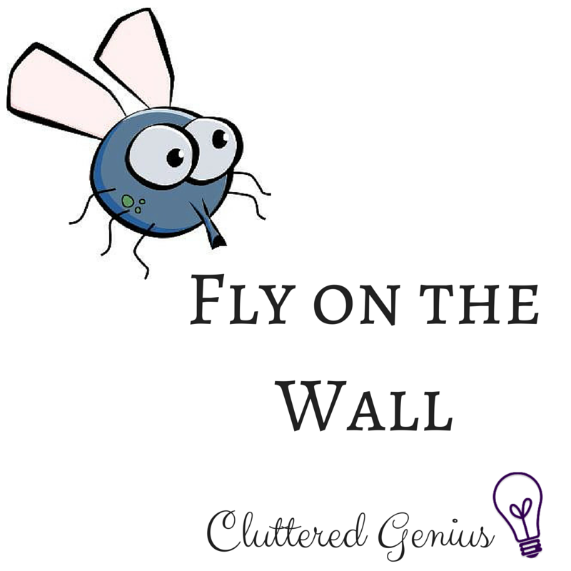 October Fly on the Wall