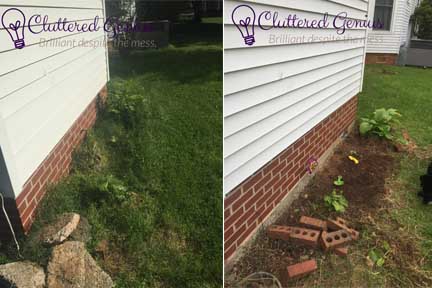 garden before and after